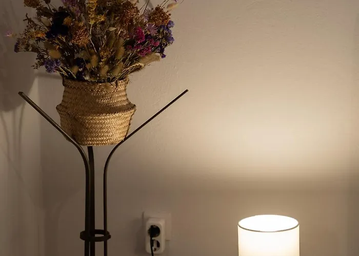 公寓 Zeusplace Urban Flat