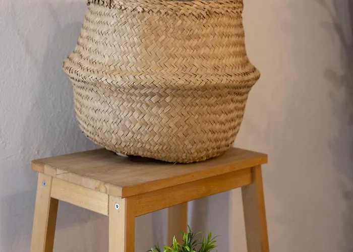 公寓 Zeusplace Urban Flat